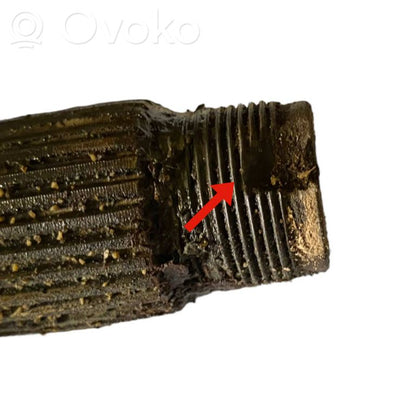 Aizmugurējā pusass