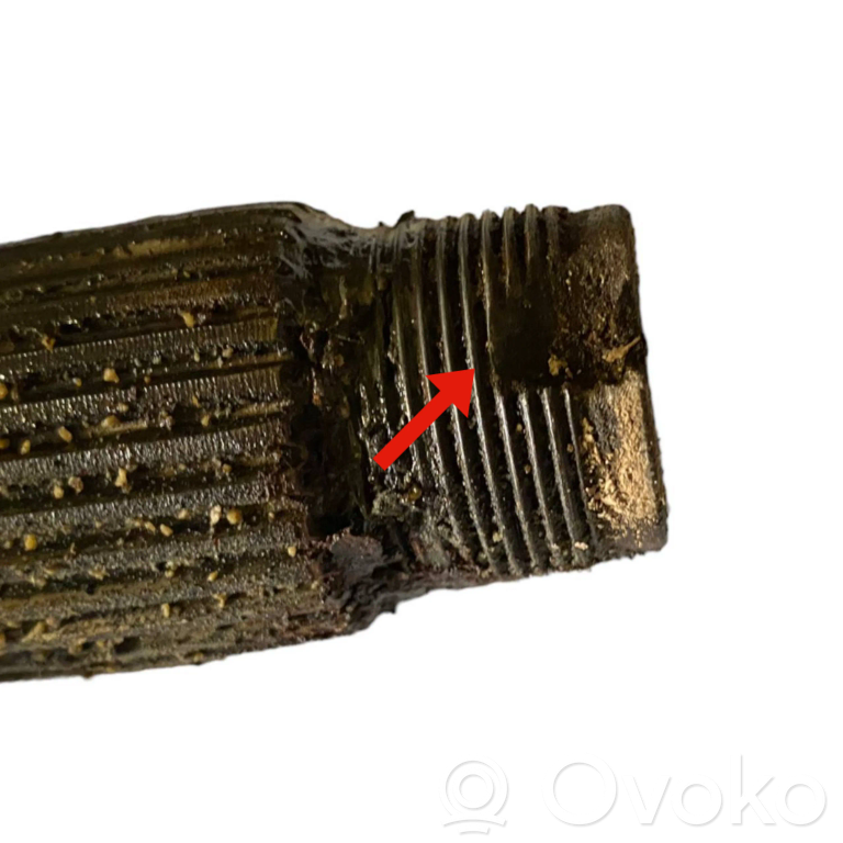 Aizmugurējā pusass