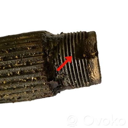 Aizmugurējā pusass