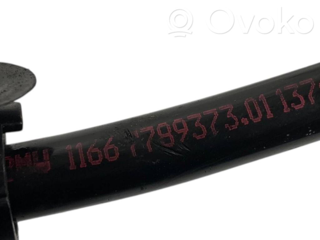 Caurulīte (-es) / šļūtene (-es)