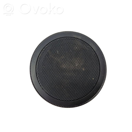 Speaker(s) in front door