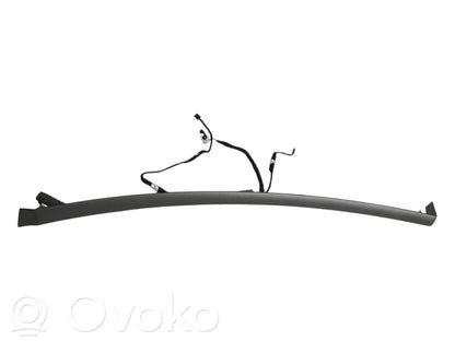 Cita veida priekšpusē durvju dekoratīvās apdares detaļa