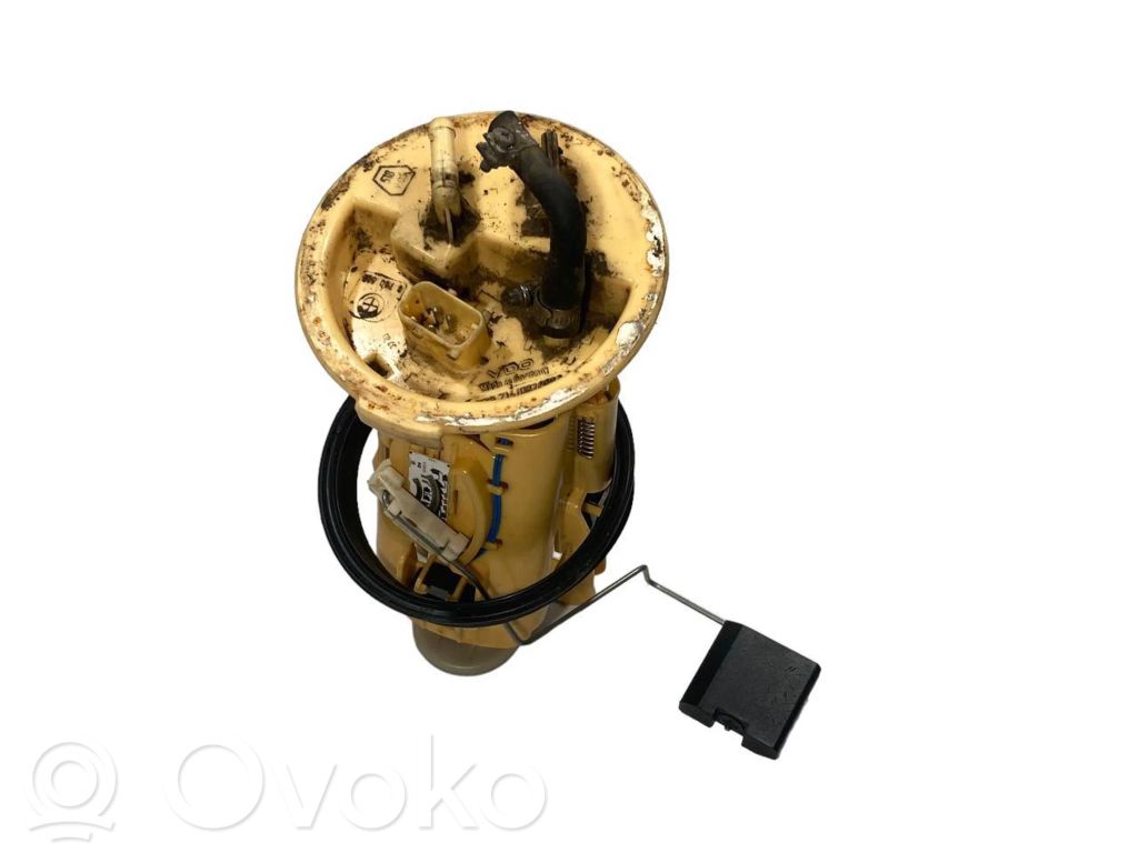 Fuel pump (in the fuel tank)