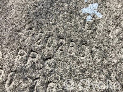 Aizmugurējais apakšspārns