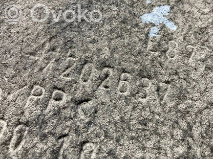 Aizmugurējais apakšspārns