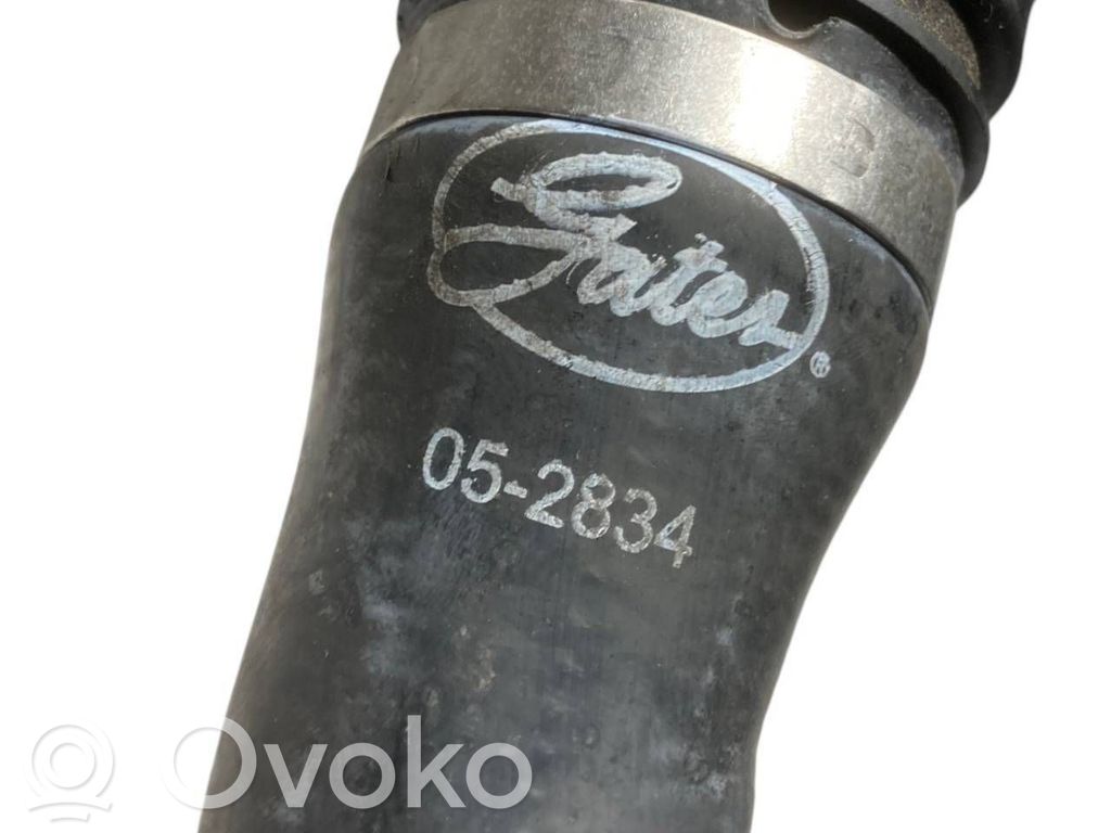 Caurulīte (-es) / šļūtene (-es)