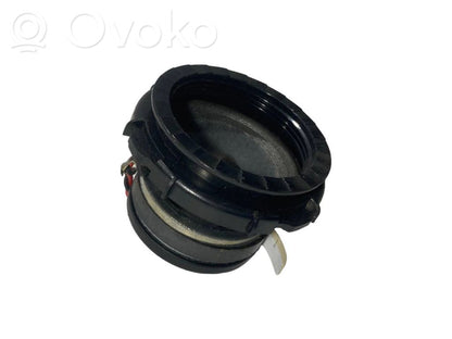 Speaker(s) in the rear door