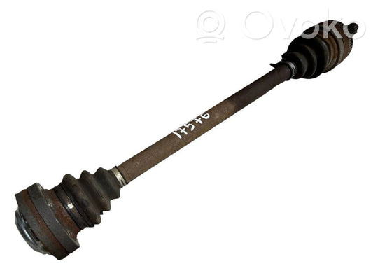 Aizmugurējā pusass