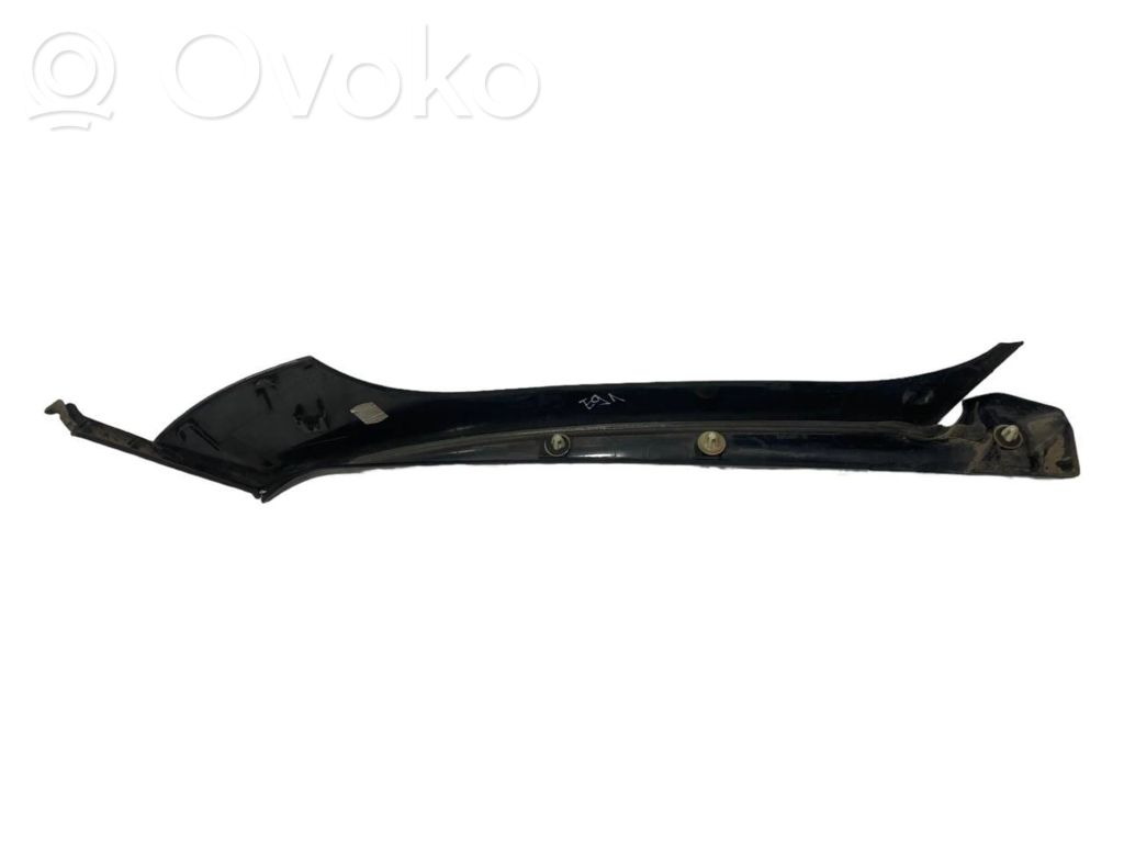 Trunk decorative trim
