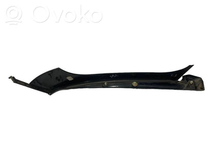 Trunk decorative trim