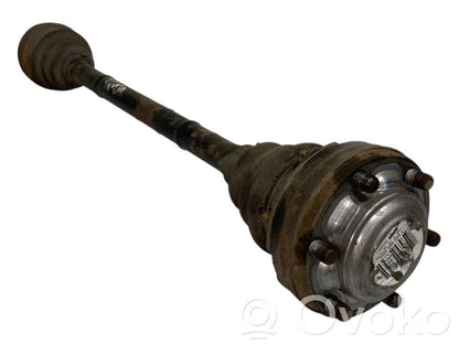 Aizmugurējā pusass