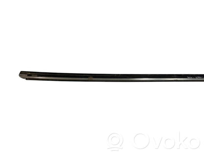 Aizmugurē durvju dekoratīvā apdare (moldings)