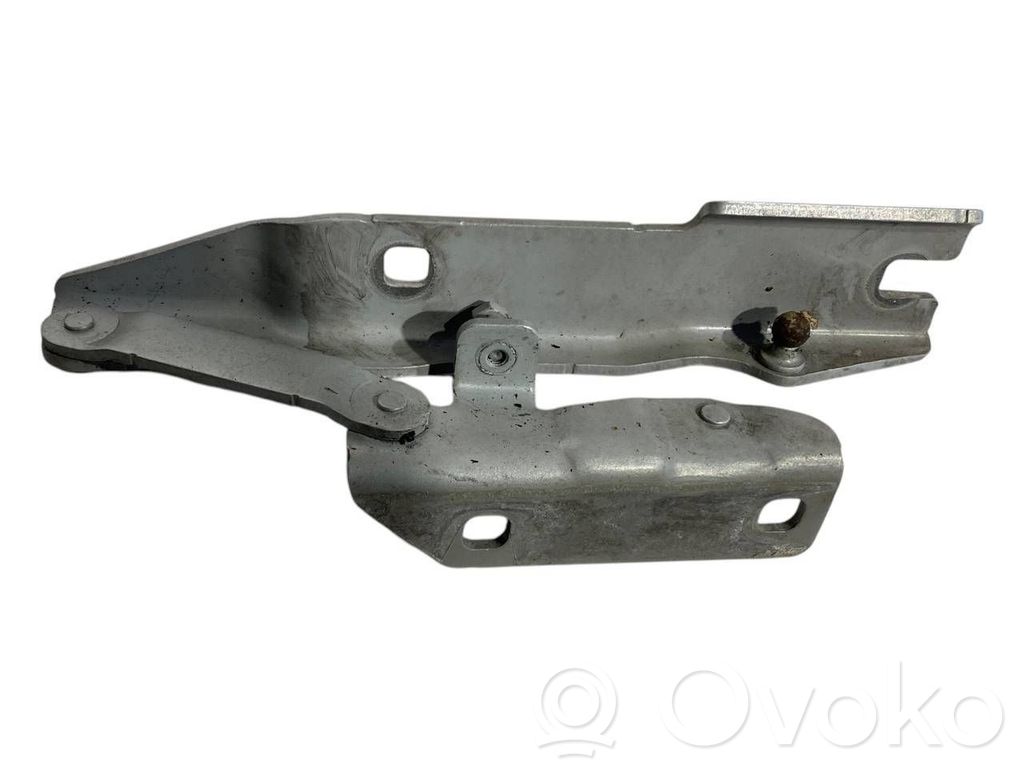 Петли капота двигателя