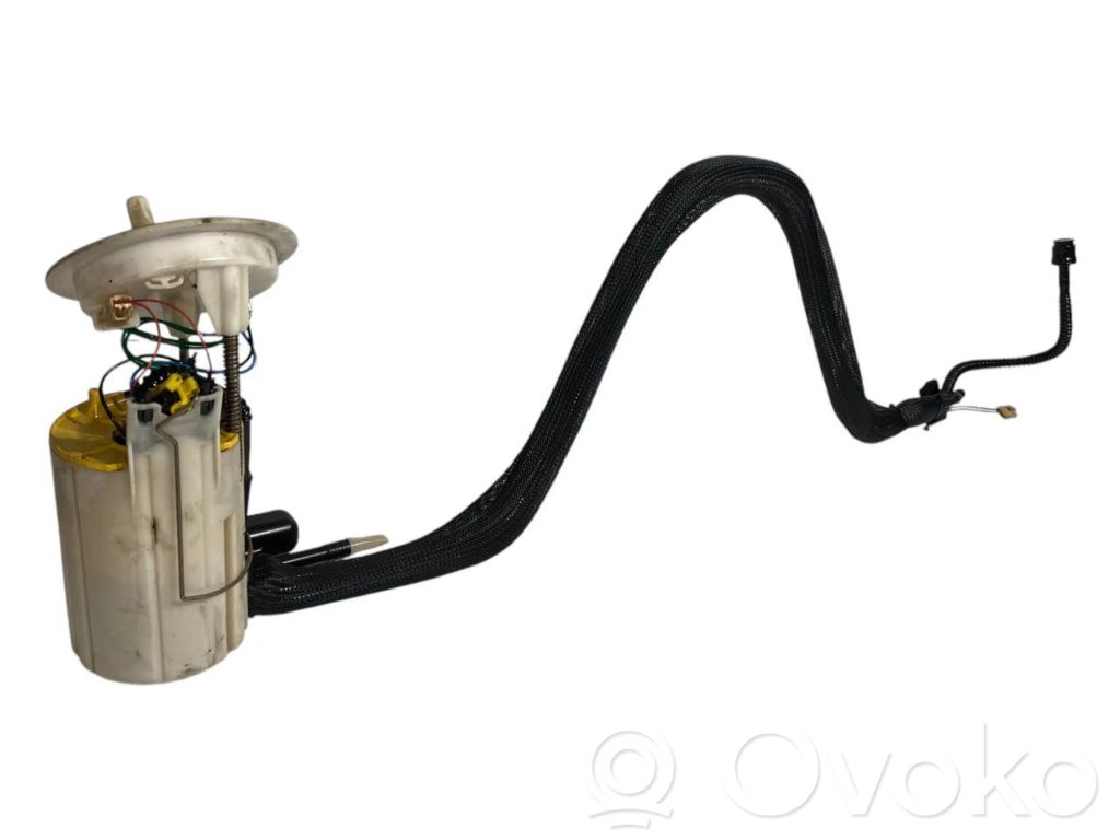 Fuel pump (in the fuel tank)