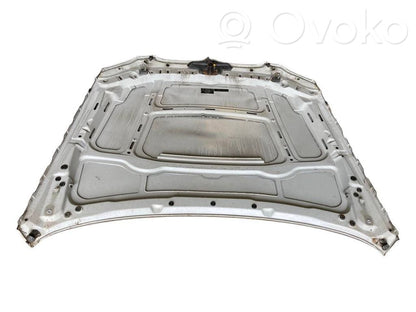 Dzinēja pārsegs (vāks)