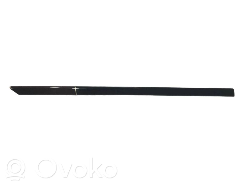 Apšuvums aizmugurējām durvīm