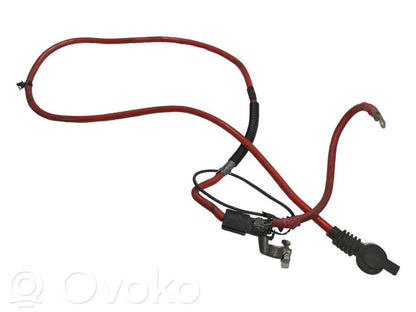 Plusa vads (akumulatora)