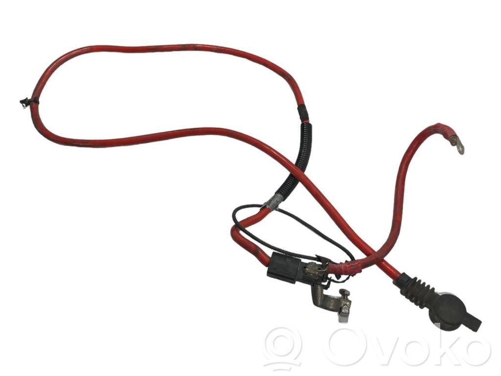 Plusa vads (akumulatora)