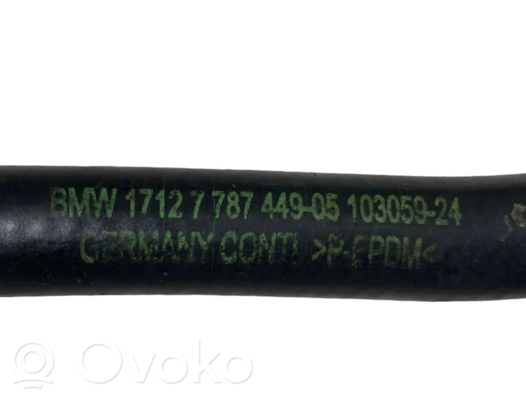 Caurulīte (-es) / šļūtene (-es)