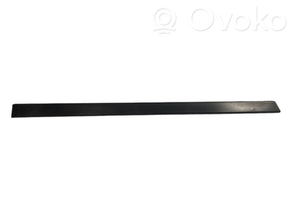 Aizmugurē durvju dekoratīvā apdare (moldings)