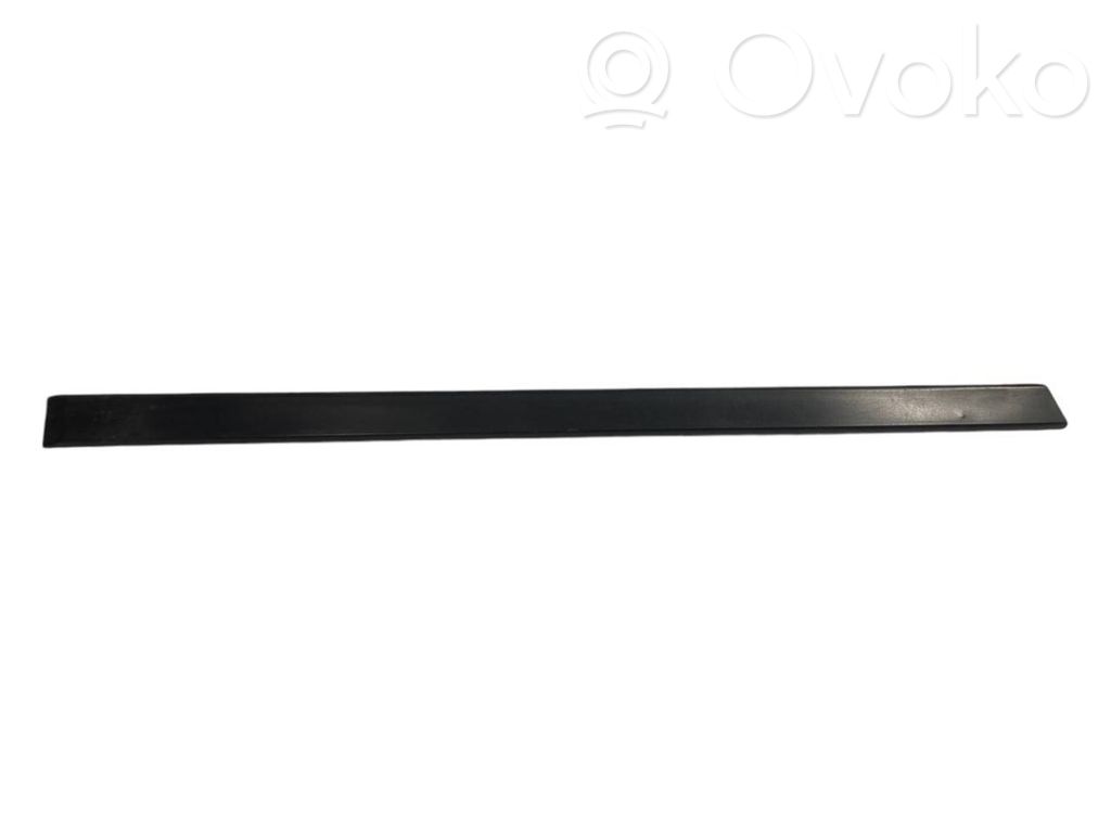 Aizmugurē durvju dekoratīvā apdare (moldings)