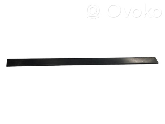 Aizmugurē durvju dekoratīvā apdare (moldings)