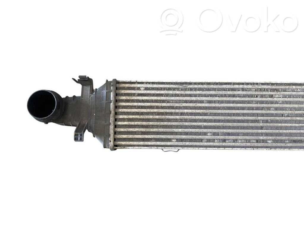 Starpdzesētāja radiators
