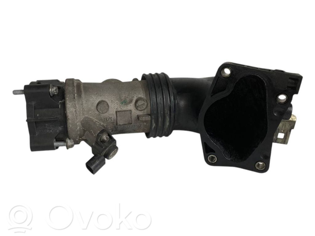 Caurulīte (-es) / šļūtene (-es)