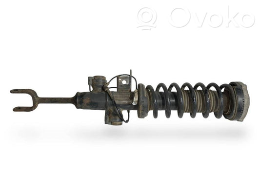Front shock absorber with spring