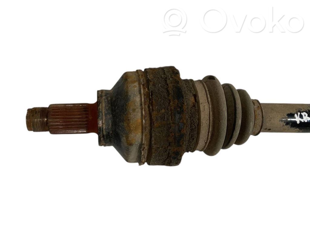 Aizmugurējā pusass