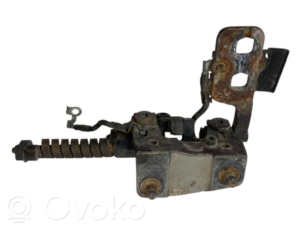 Aizmugurējā pārsega eņģe (-ess)