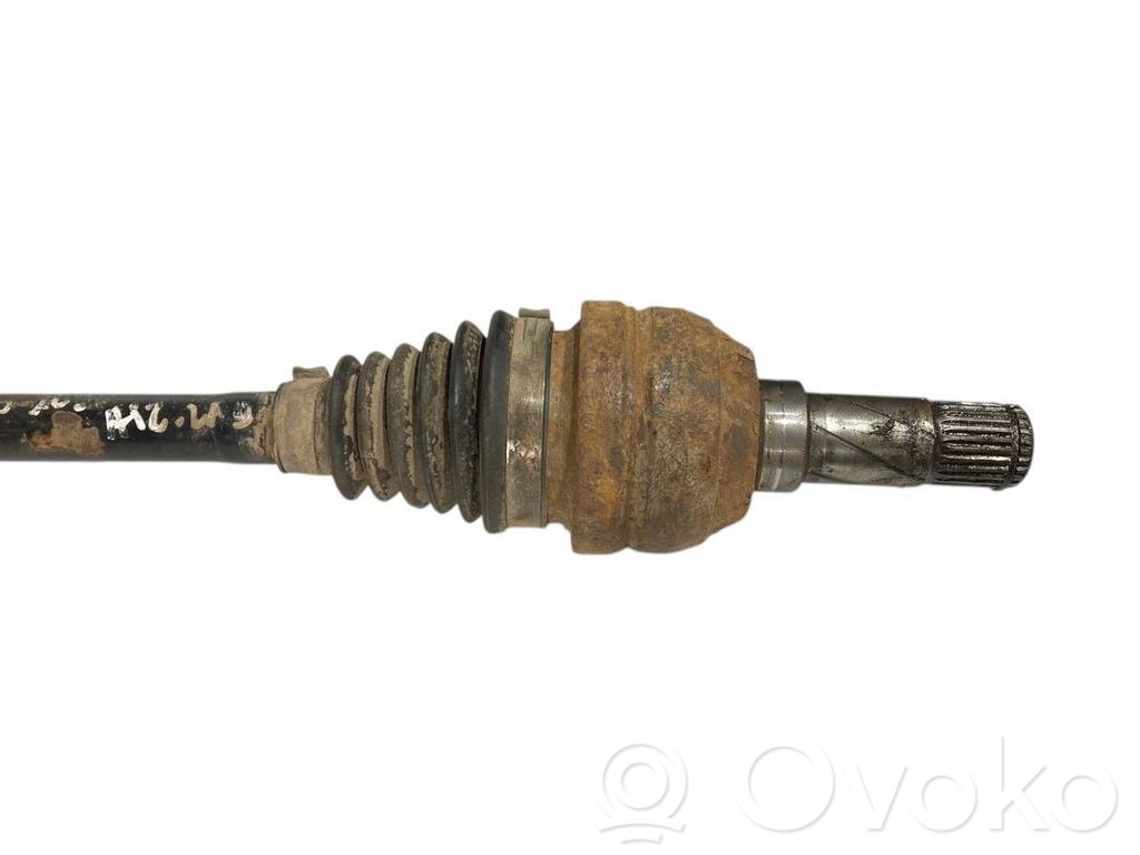 Aizmugurējā pusass