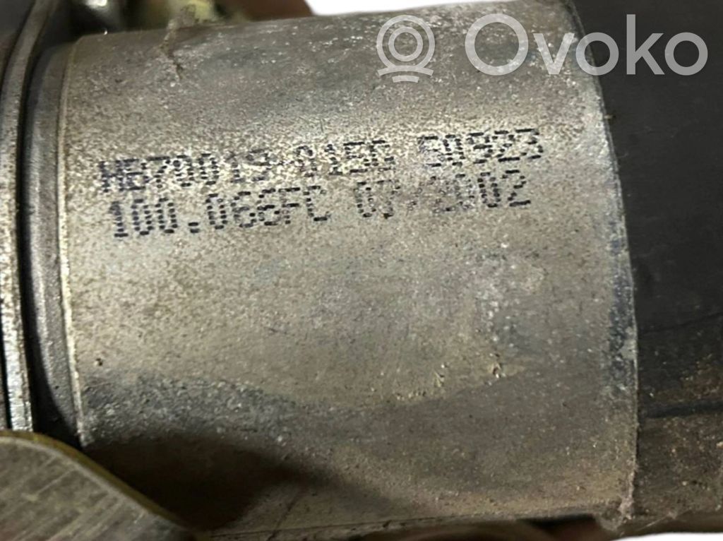 Bagāžnieka dekoratīvā apdare