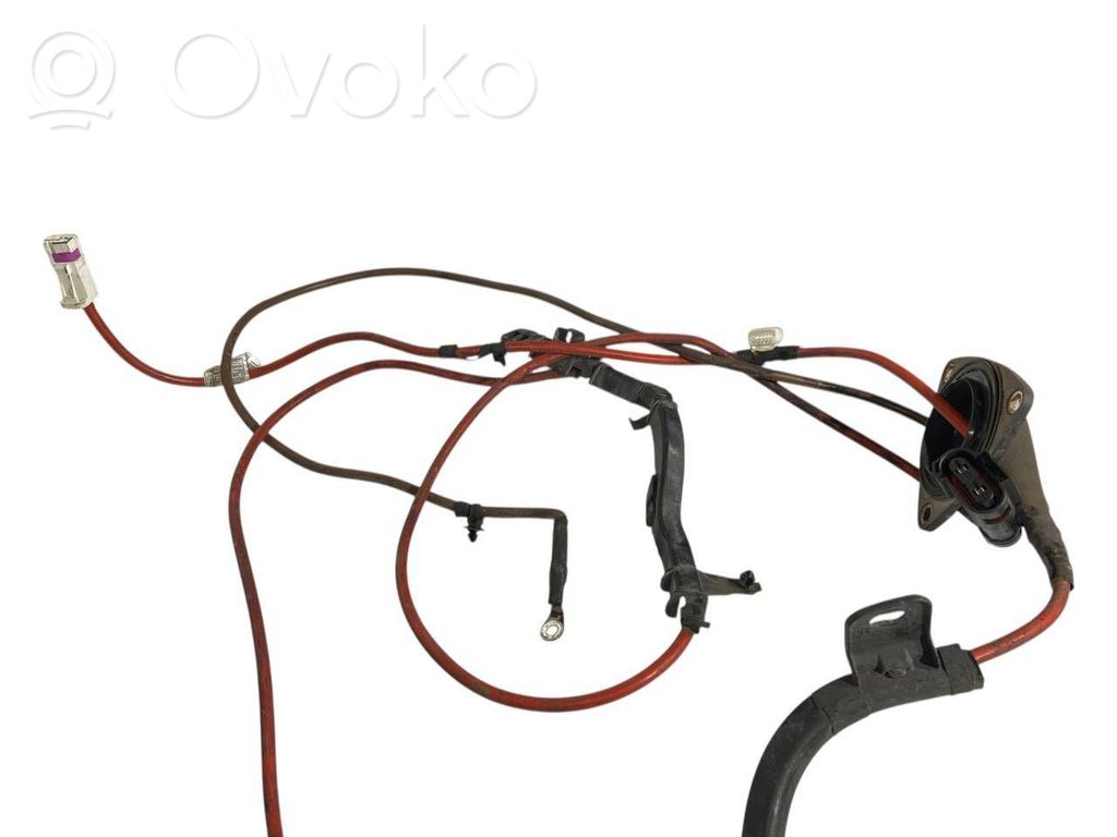 Plusa vads (akumulatora)