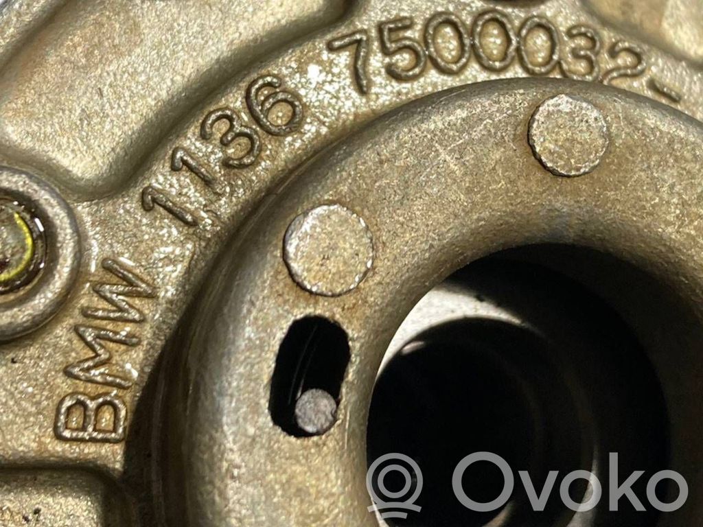 Sadales vārpstas skriemelis / "Vanos"