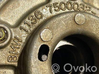 Sadales vārpstas skriemelis / "Vanos"