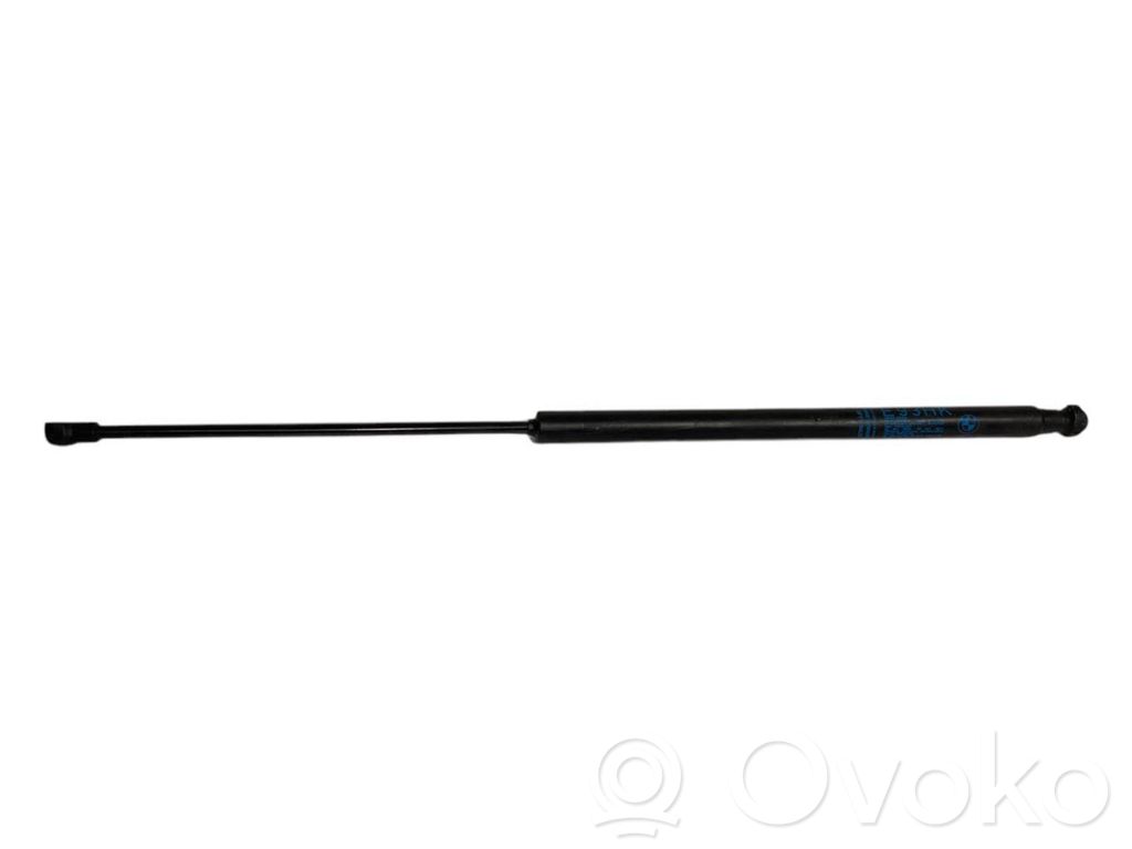 Bagāžnieka amortizators