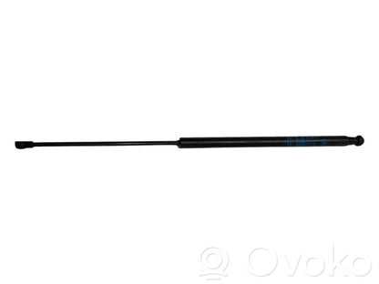 Bagāžnieka amortizators