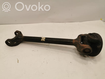 Aizmugurējā pusass