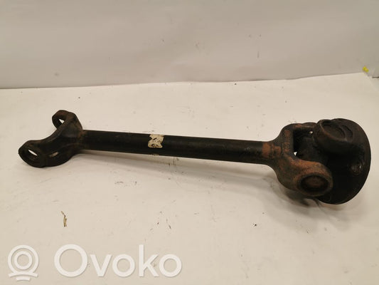 Aizmugurējā pusass