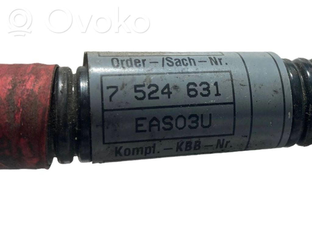 Plusa vads (akumulatora)