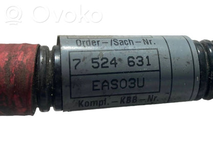 Plusa vads (akumulatora)