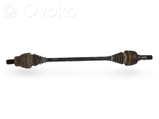 Aizmugurējā pusass