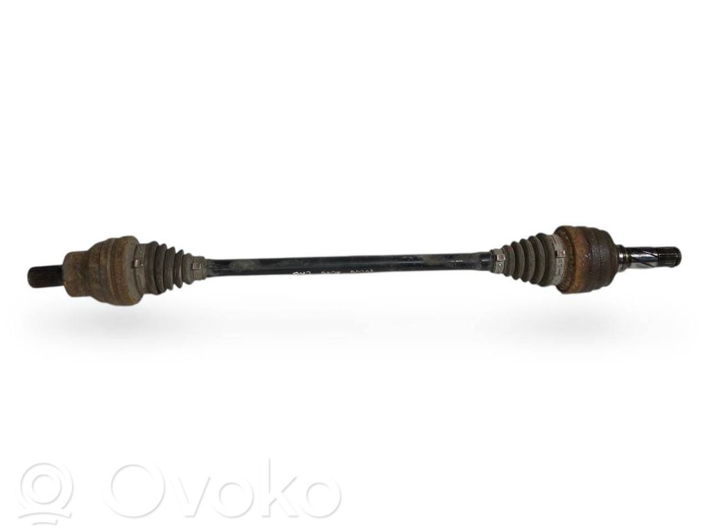 Aizmugurējā pusass