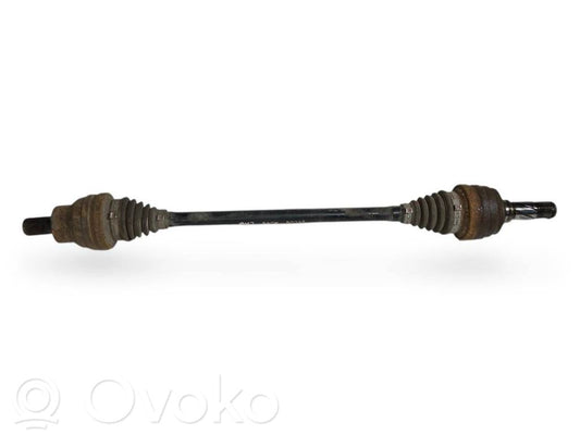 Aizmugurējā pusass