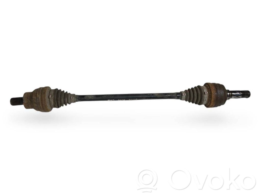 Aizmugurējā pusass