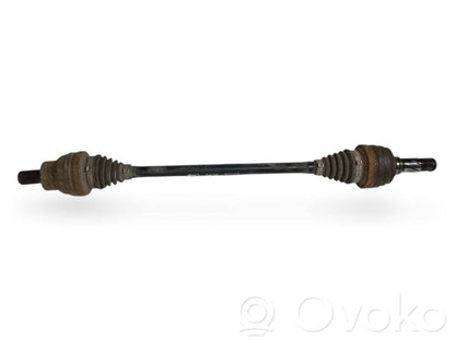 Aizmugurējā pusass