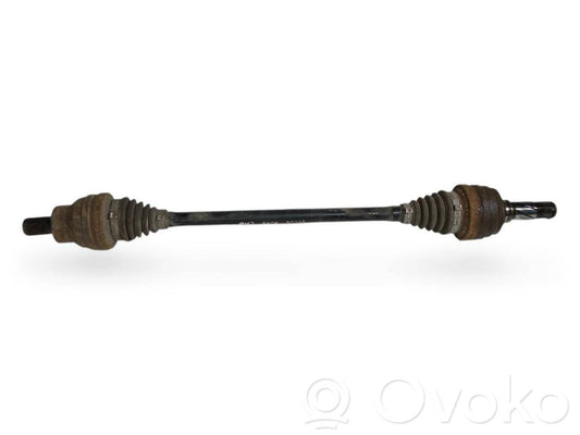 Aizmugurējā pusass