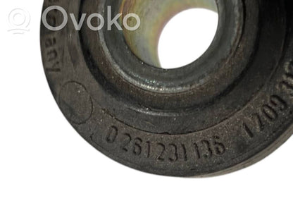 Knock sensor