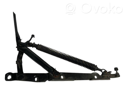 Aizmugurējā pārsega eņģe (-ess)